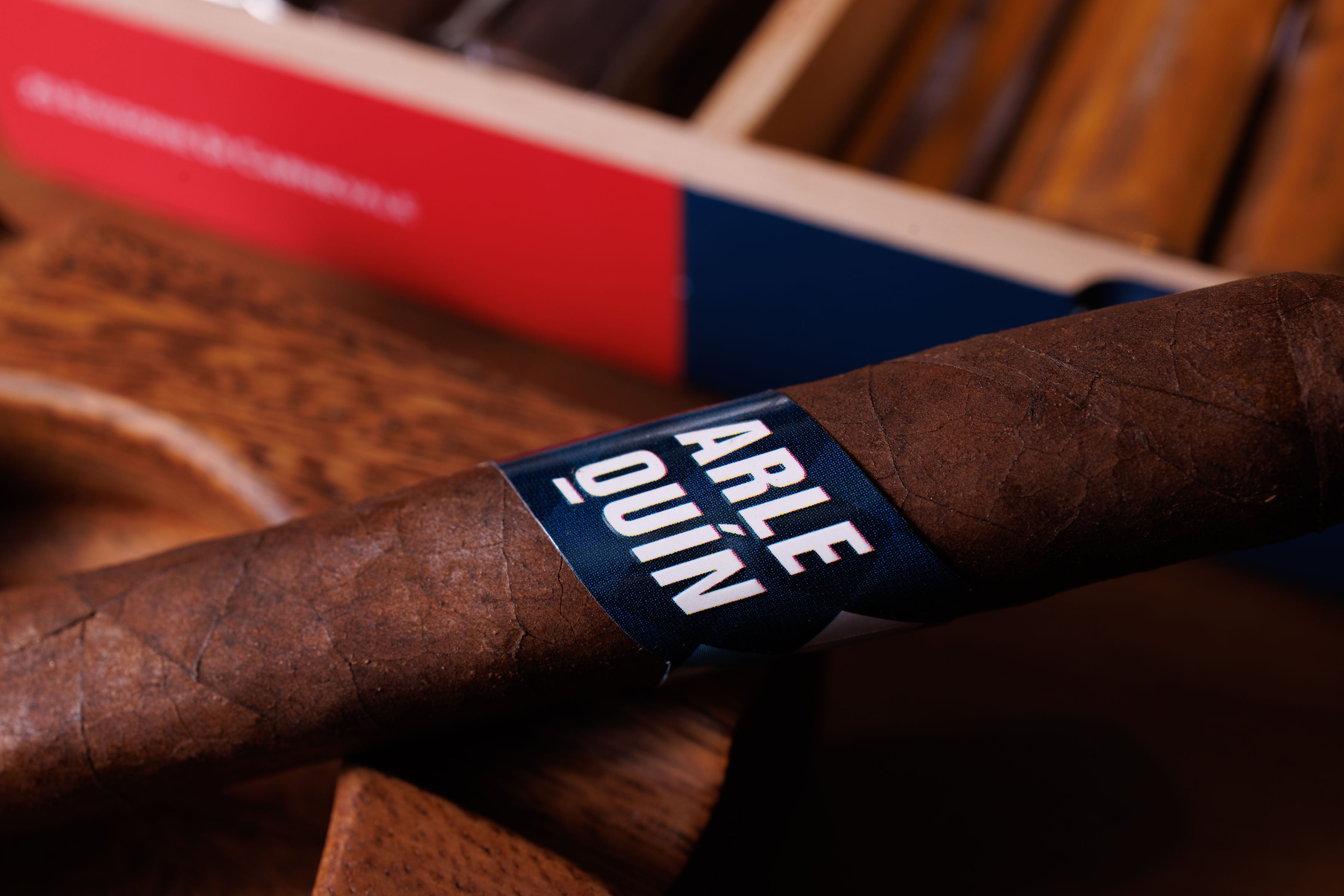 Fratello arlequín corona